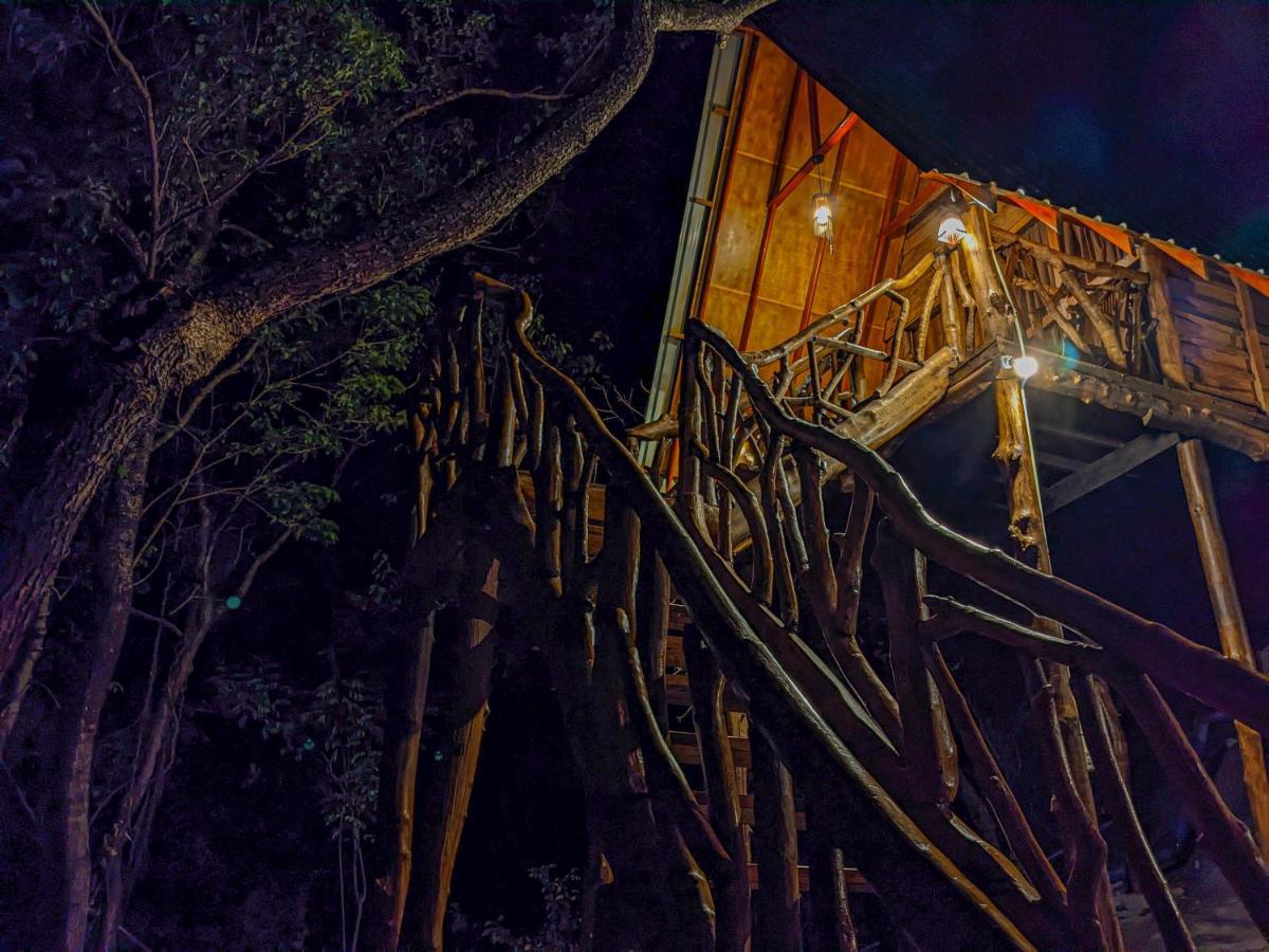 Wooden Cabana 锡吉里亚 外观 照片