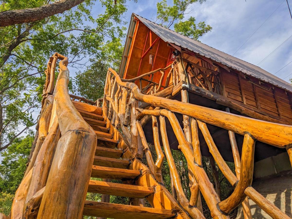 Wooden Cabana 锡吉里亚 外观 照片