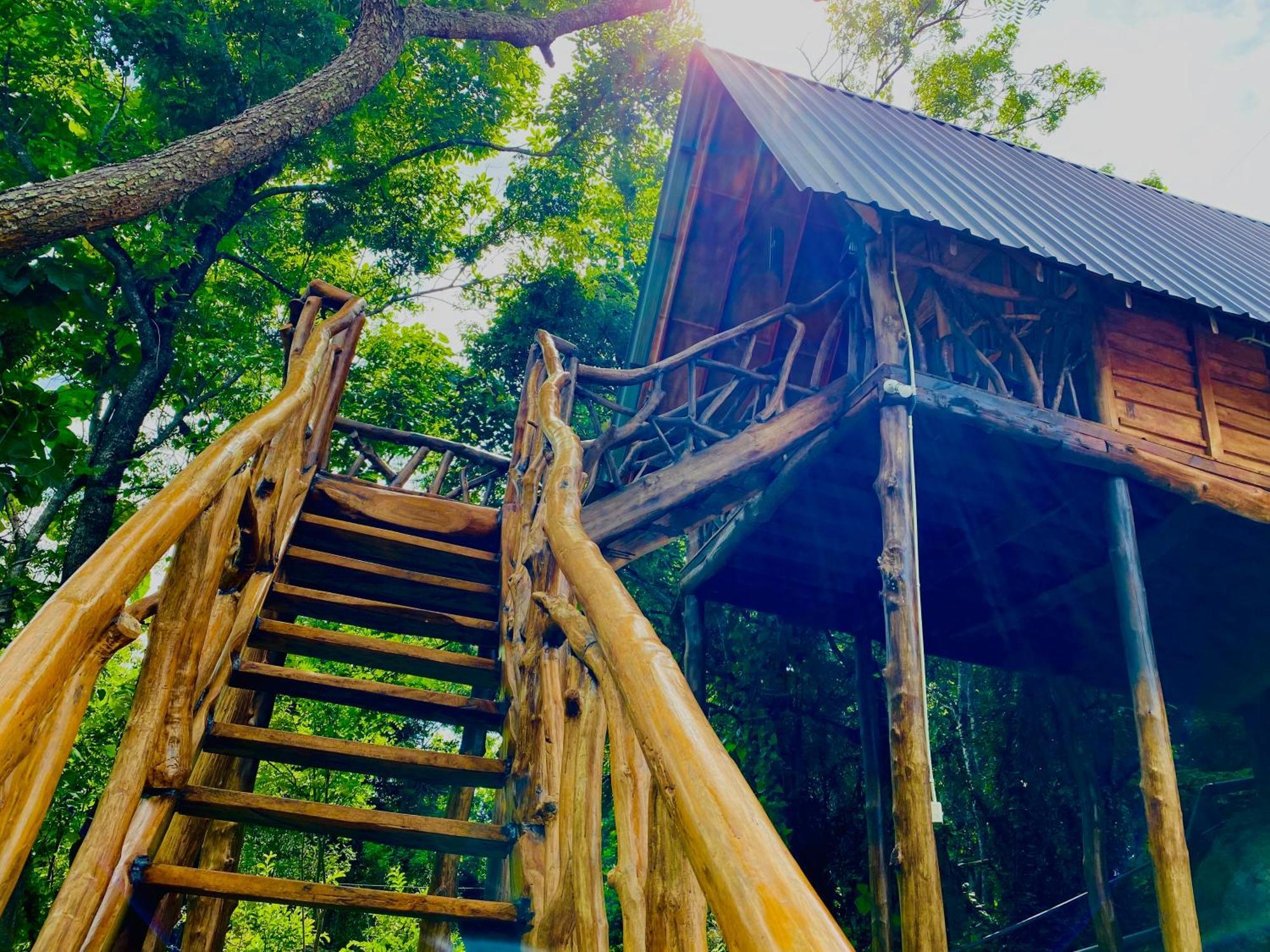 Wooden Cabana 锡吉里亚 外观 照片